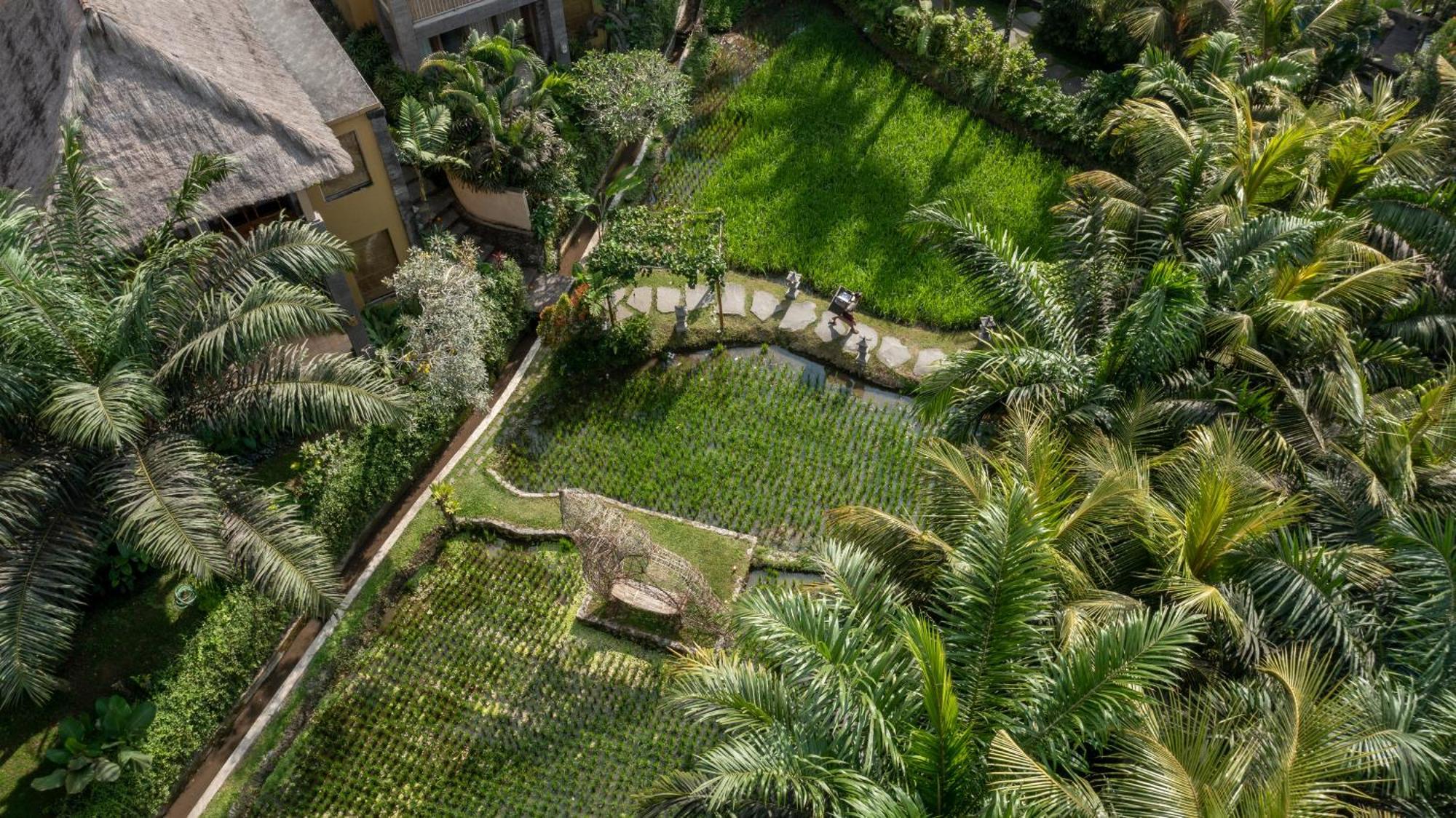 The Sankara Resort By Pramana Ubud Dış mekan fotoğraf
